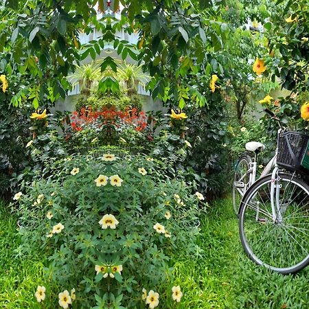 Star Garden Hoi An Daire Dış mekan fotoğraf